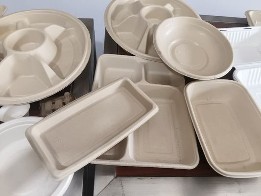  성형 펄프용 자동 스프레이 코팅 시스템 | 정밀 내부 코팅