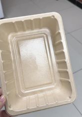 Smart IoT Rotary Coating Line with AI QC for Premium Pulp Molded Products - Industry 4.0 Solution