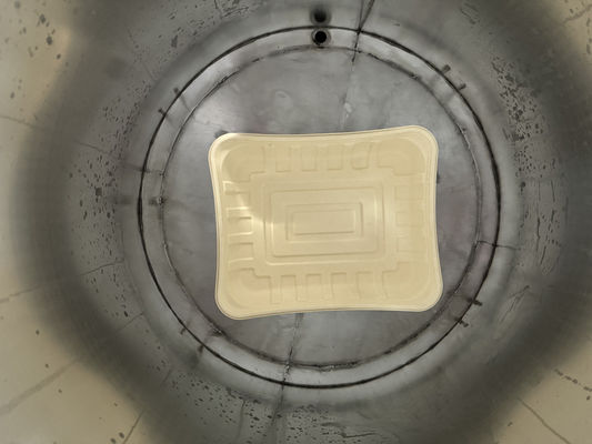 24 스테이션 스핀 코팅 라인 펄프 폼드 워터 인프라와 고효율 건조 시스템