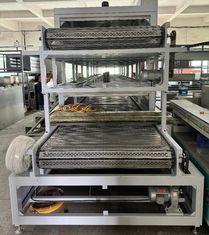 이중층 천연가스 산업 건조기 스테인리스 스틸 펀칭 체인 판 벨트 펄프 곰팡이 병 테이블웨어 고급 산업 패키지