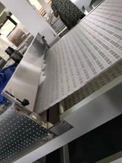 허브와 과일을 위한 연속 마이크로파 건조장비입니다. 에너지 절약과 친환경