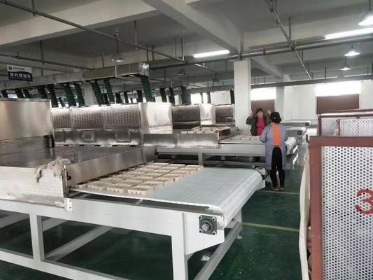 Industrial Microwave Drying Line for Food & Herbs – Continuous Tunnel Design with Customizable Power
