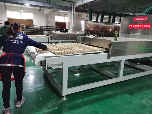 산업용 전자레인지 과일 건조기 & 허브 건조기 기계 | 고효율 & 품질 보존